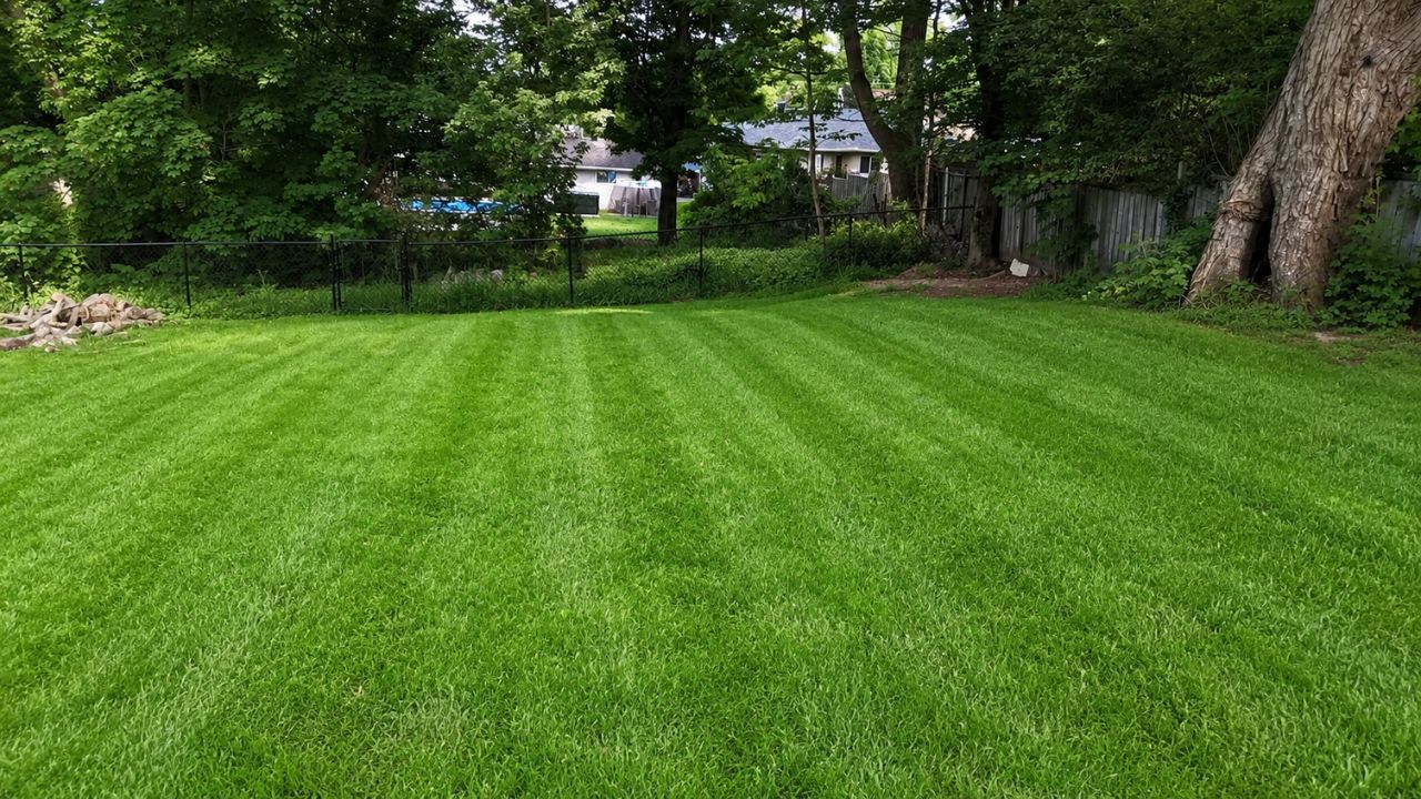 Residential street in Sudbury Ontario showing different lawn conditions