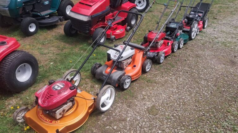 15 Years From Now: What I Tell Young Sudbury Homeowners to Plan For With Their Yard