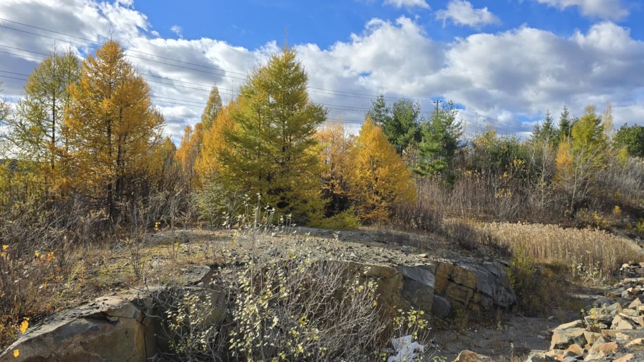 Rural property lawn off Highway 144 near Sudbury Ontario Greater area