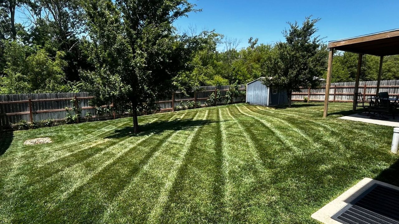 Ryan Lingenfelter Sudbury Ontario lawn professional experience versus YouTube advice