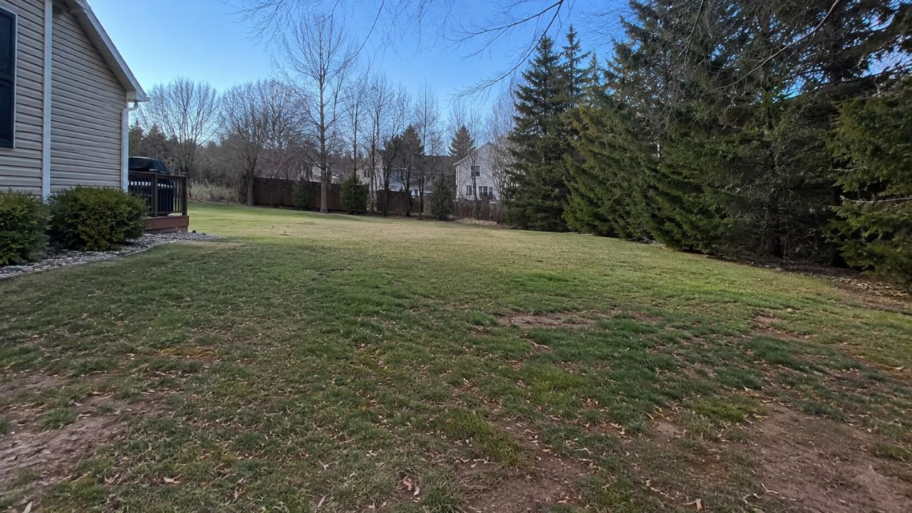 Ryan Lingenfelter assessing a residential lawn during a spring quote visit in Greater Sudbury