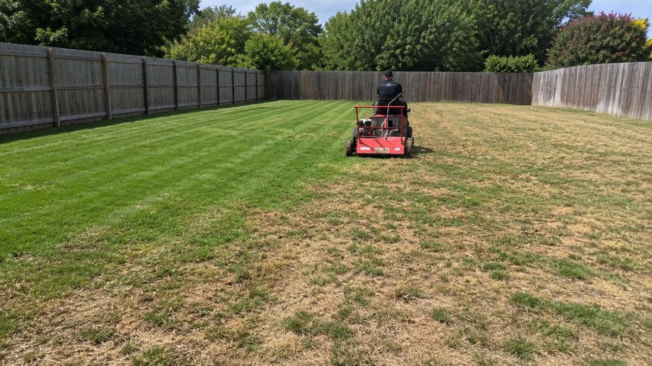 Ryan Lingenfelter assessing distressed residential lawn Greater Sudbury Ontario emergency visit