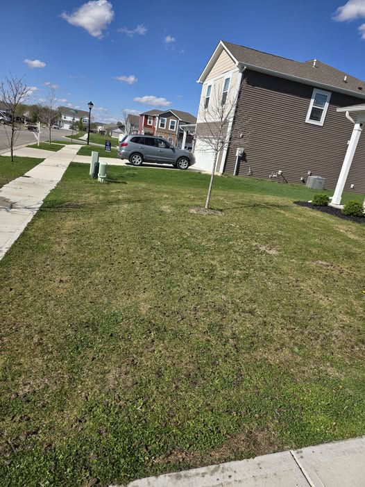 Ryan Lingenfelter assessing lawn condition residential property Sudbury Ontario