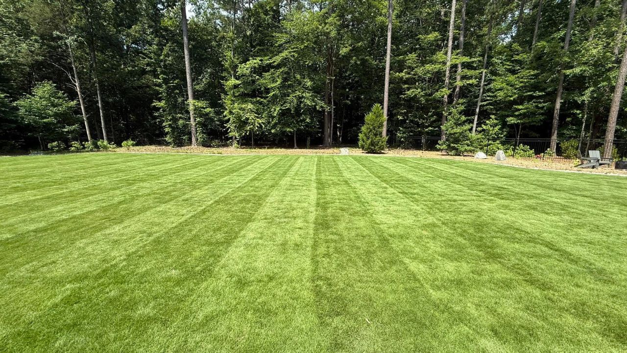 Ryan Lingenfelter comparing lawn spring recovery conditions Azilda versus Chelmsford Greater Sudbury Ontario