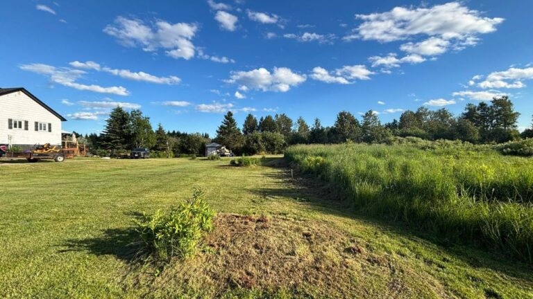 The 4-Step Sudbury Lawn Routine That Takes 12 Minutes Once a Week