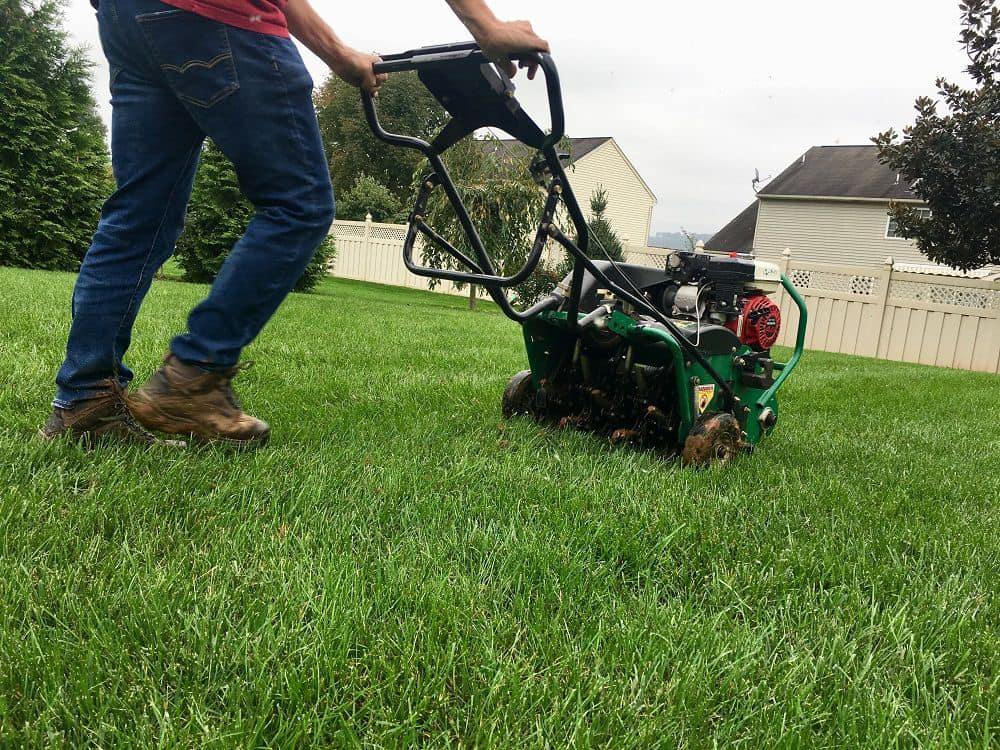 Ryan Lingenfelter core aeration residential lawn Garson Greater Sudbury Ontario