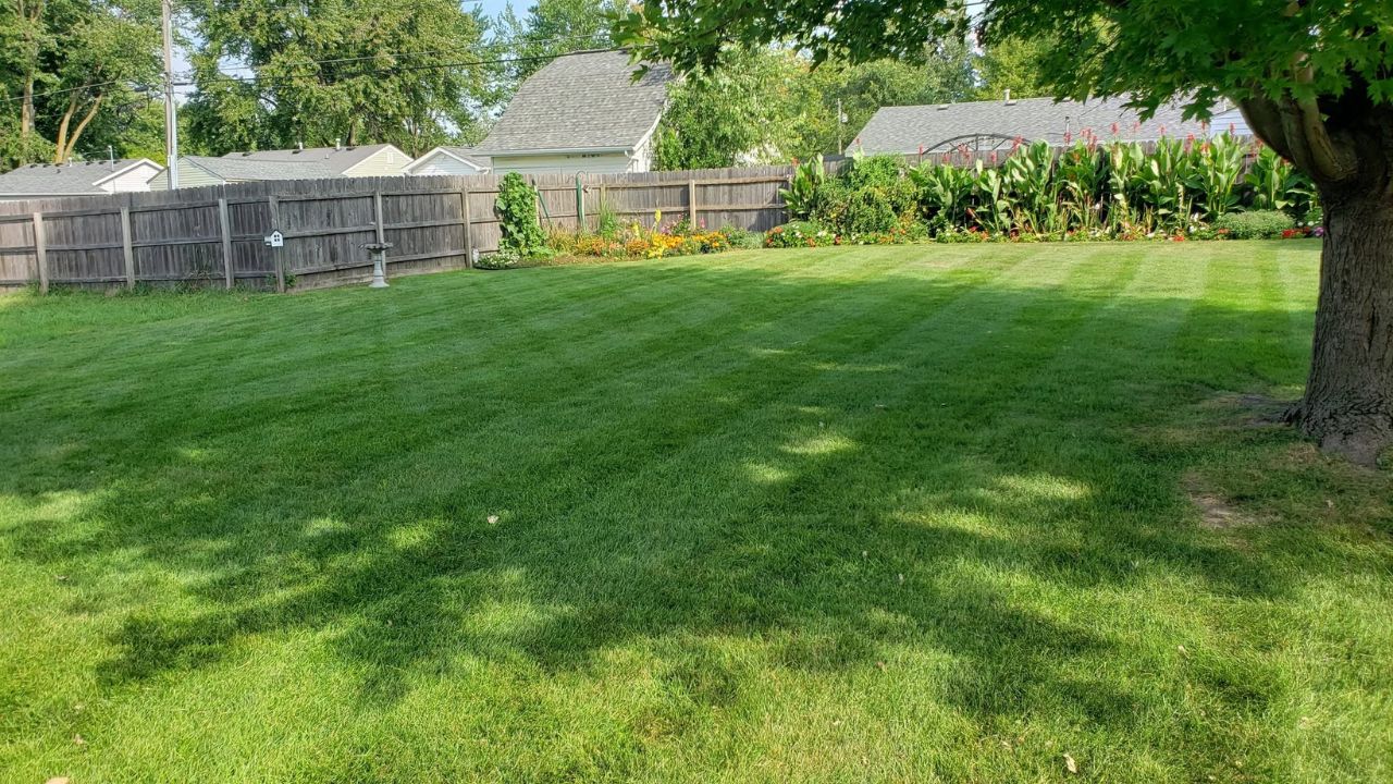 Ryan Lingenfelter discussing lawn care guarantee honestly Greater Sudbury Ontario