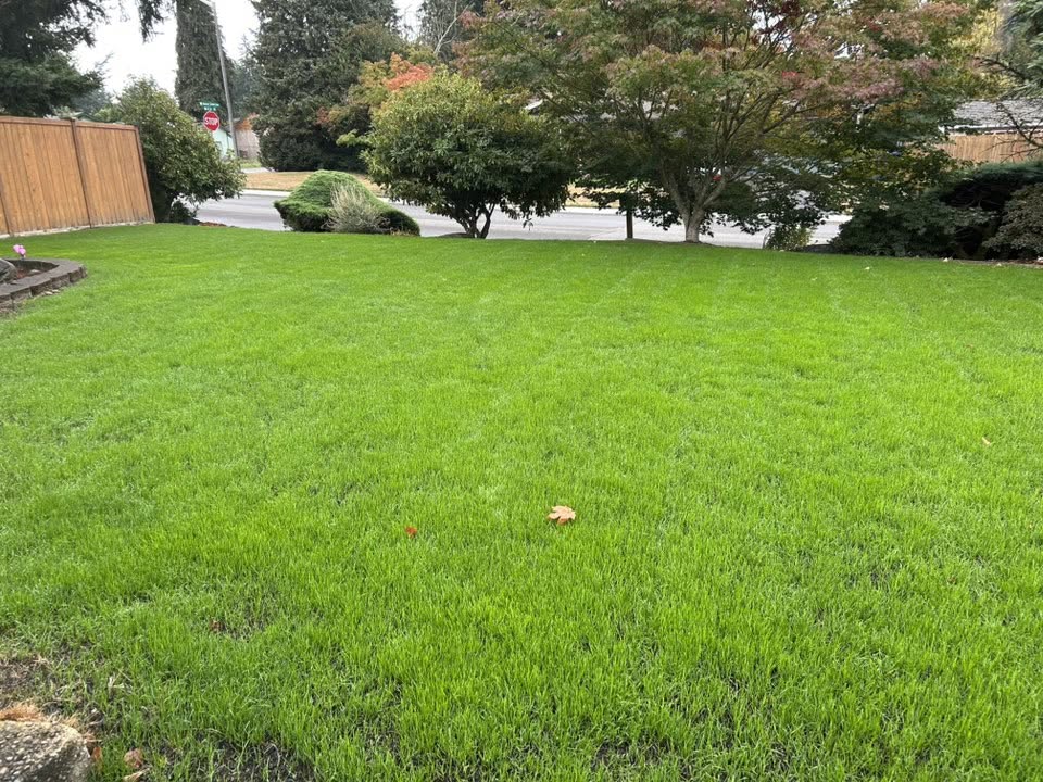 Ryan Lingenfelter explaining lawn condition to homeowner in Sudbury Ontario