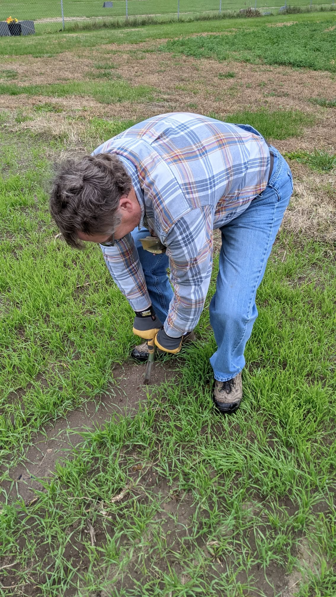 Ryan Lingenfelter lawn assessment Sudbury property
