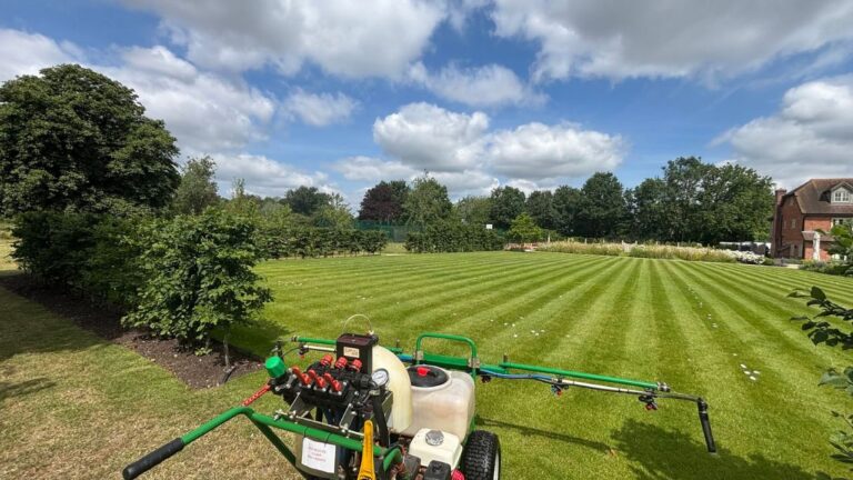 The 4 Sounds Coming From a Sudbury Lawn That Tell You Something’s Wrong