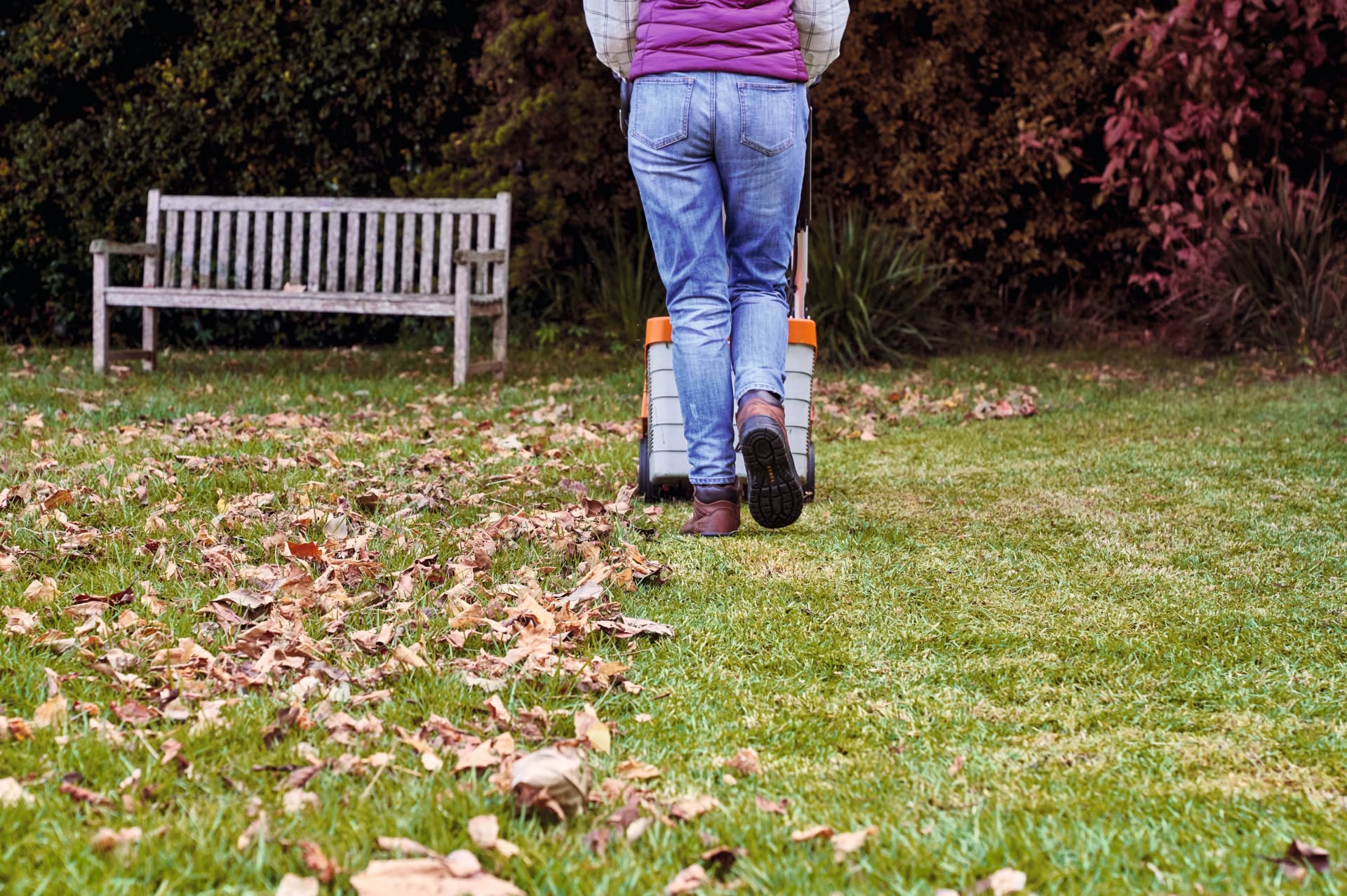 Ryan Lingenfelter kneeling to examine soil on damaged Sudbury lawn
