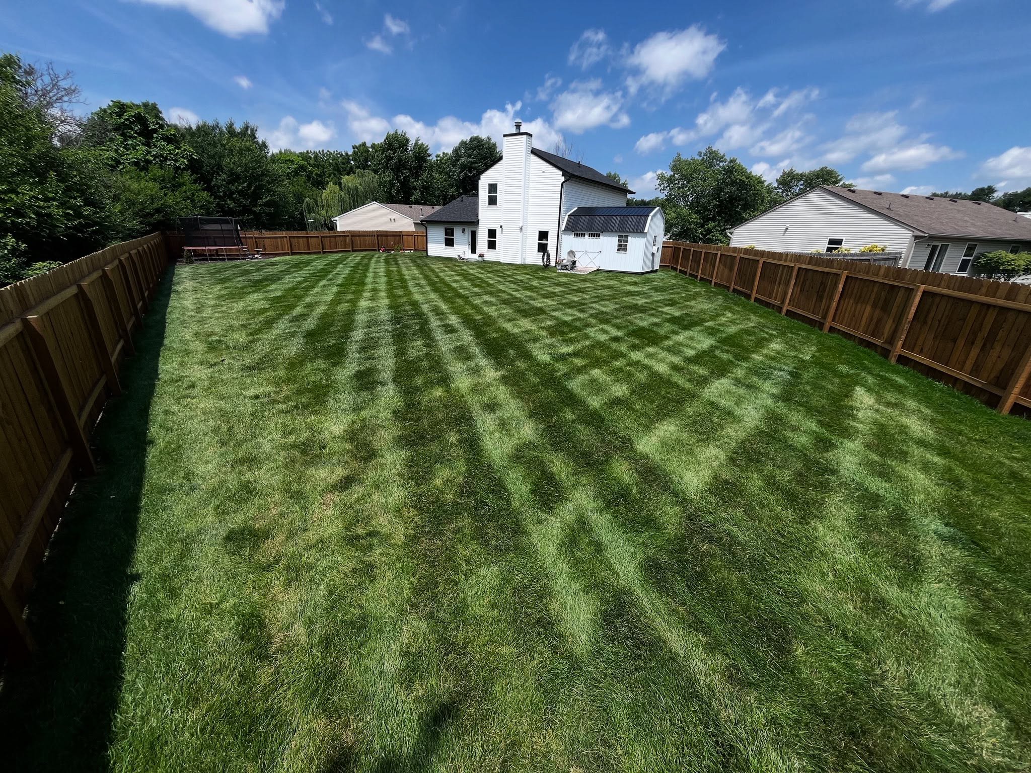 Ryan Lingenfelter lawn restoration treatment plan residential property Greater Sudbury Ontario recovery