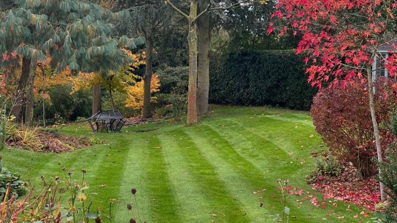 Ryan Lingenfelter long term client relationship Greater Sudbury Ontario lawn care