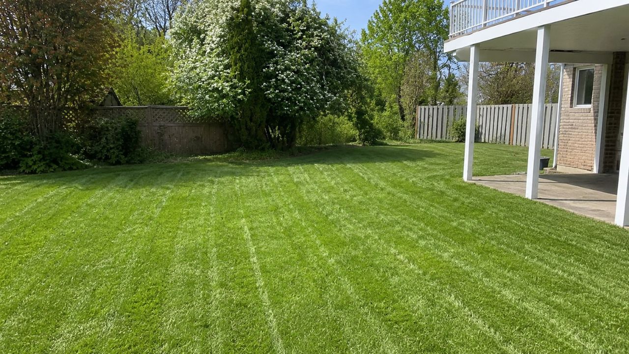 Ryan Lingenfelter most proud lawn transformation job in Greater Sudbury Ontario