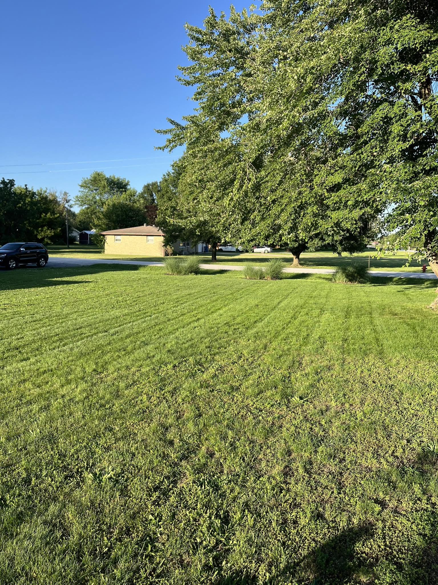 Ryan Lingenfelter on phone call checking in with new Sudbury lawn customer