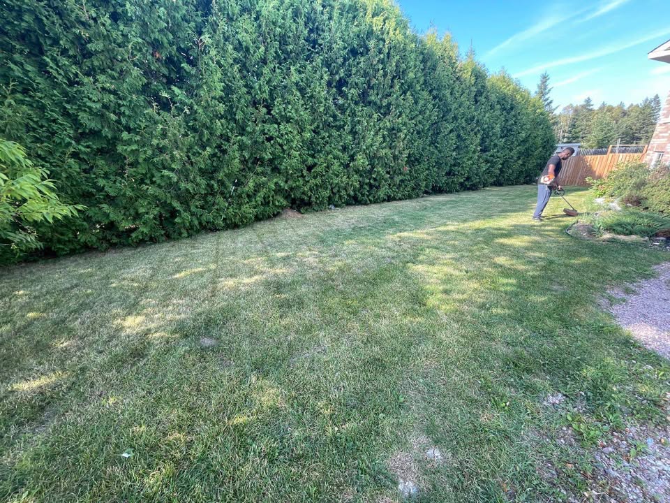 Ryan Lingenfelter post-cut lawn walkthrough weekly routine residential property Sudbury Ontario final check
