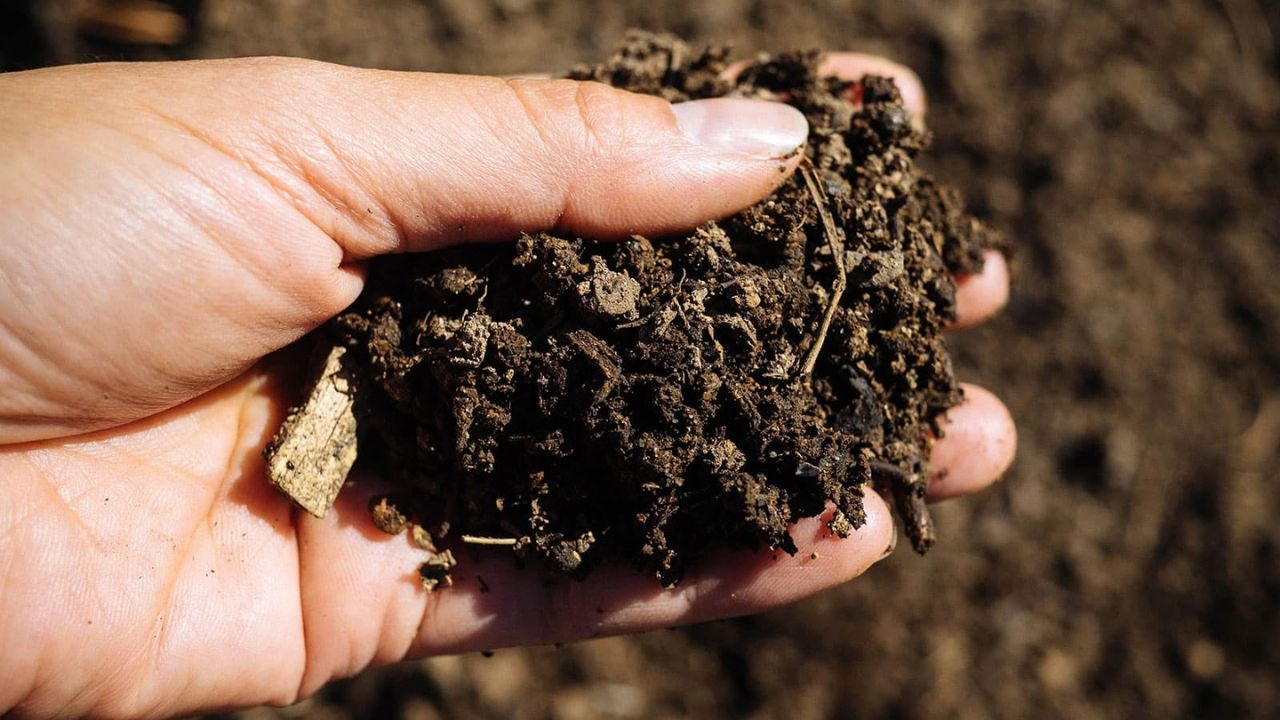 Ryan Lingenfelter reading soil test results residential lawn Greater Sudbury Ontario surprised unexpected finding
