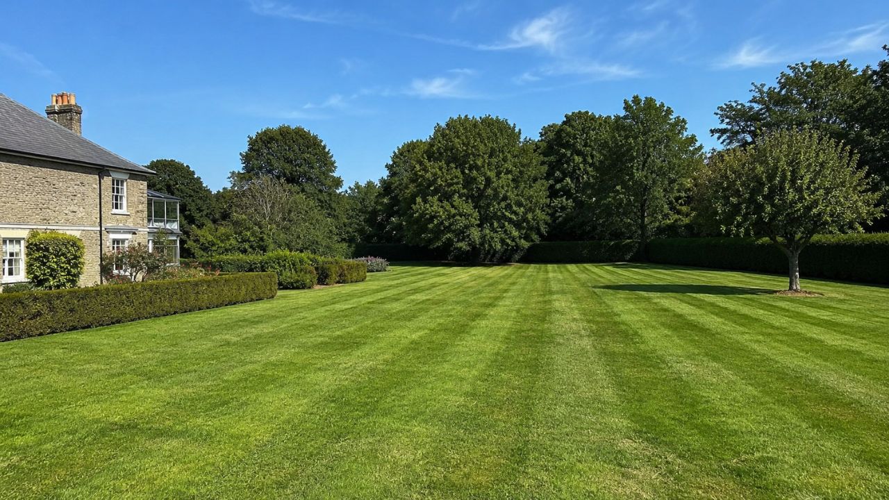 Ryan Lingenfelter reflecting on a difficult lawn care season in Sudbury Ontario