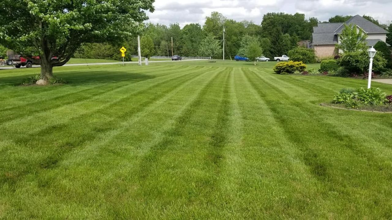 Ryan Lingenfelter reviewing lawn care business insurance documents Greater Sudbury Ontario 2026 transparency