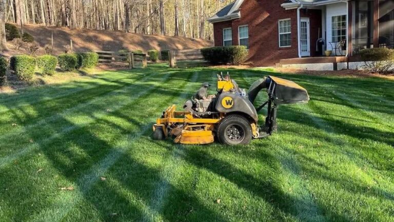 What I Wish More Sudbury Homeowners Would Ask Before Their First Season With Any Lawn Care Company