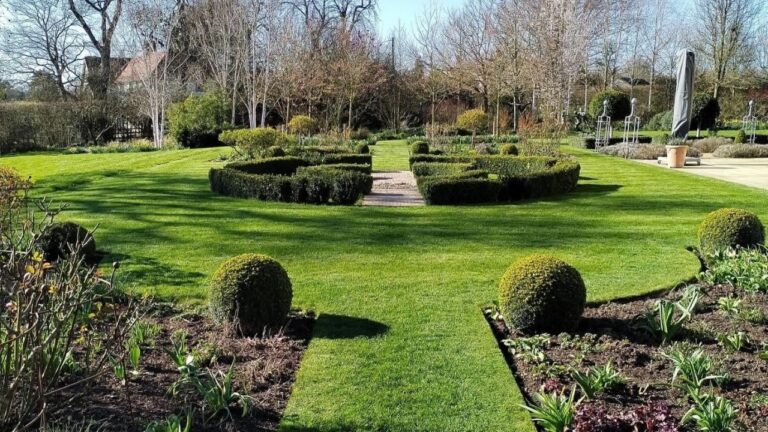 I’ve Seen 500 Sudbury Lawns — These Are the 5 Things the Best Ones All Have