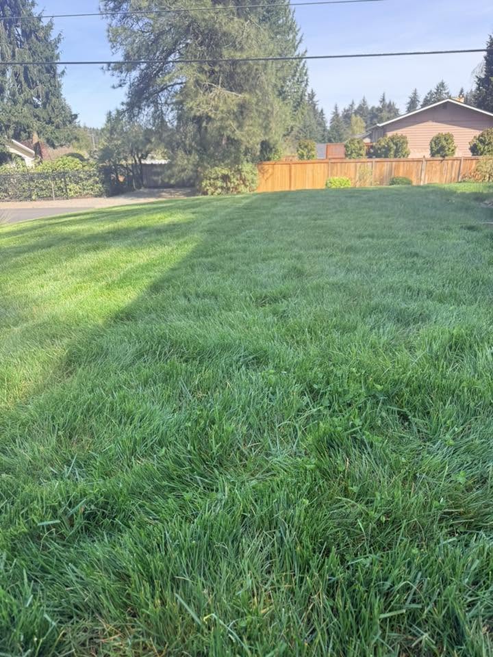 Ryan Lingenfelter surprised by unexpected lawn care question from Sudbury Ontario homeowner in June