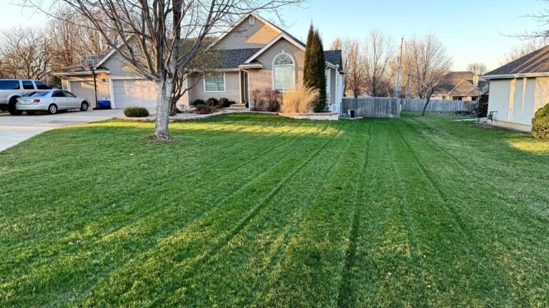 The Sudbury Lawn Question I Can Answer in 10 Seconds — And the One That Takes a Site Visit