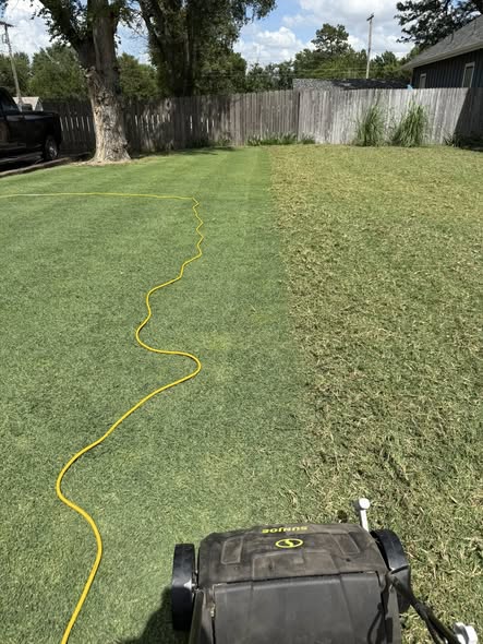 Scalped short cut residential lawn Sudbury Ontario mowing too short damage