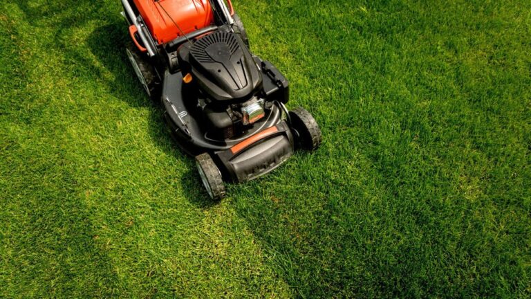 Lawn Care for Sudbury Seniors: What’s Actually Reasonable When Mowing Gets Too Hard