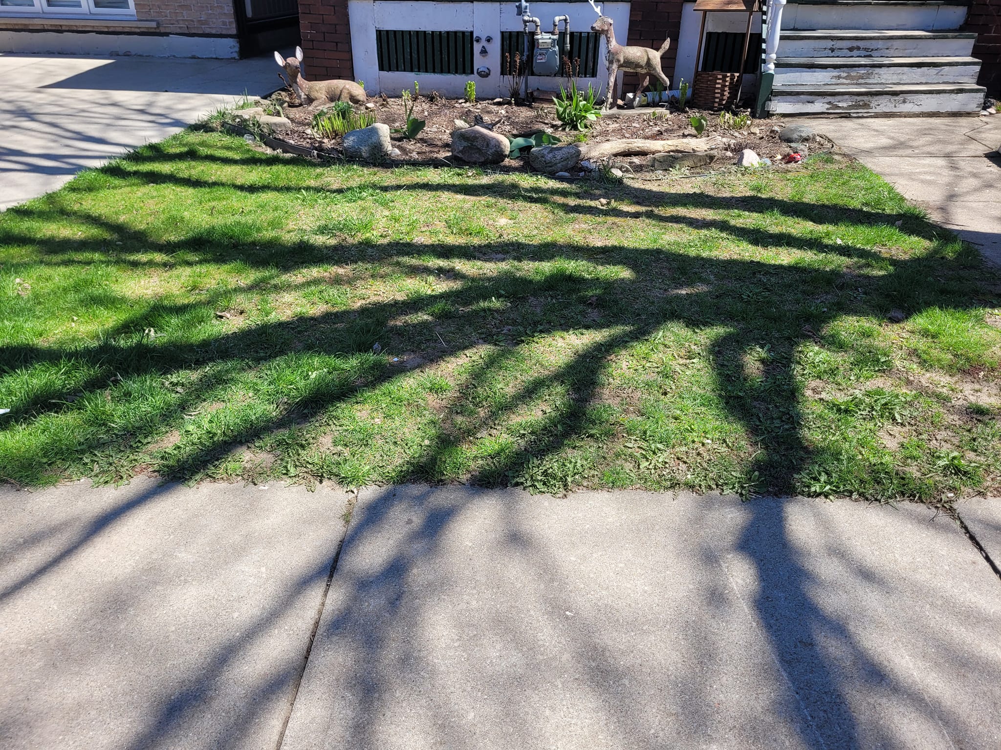 Shaded lawn under mature tree canopy on an older property in Capreol Ontario