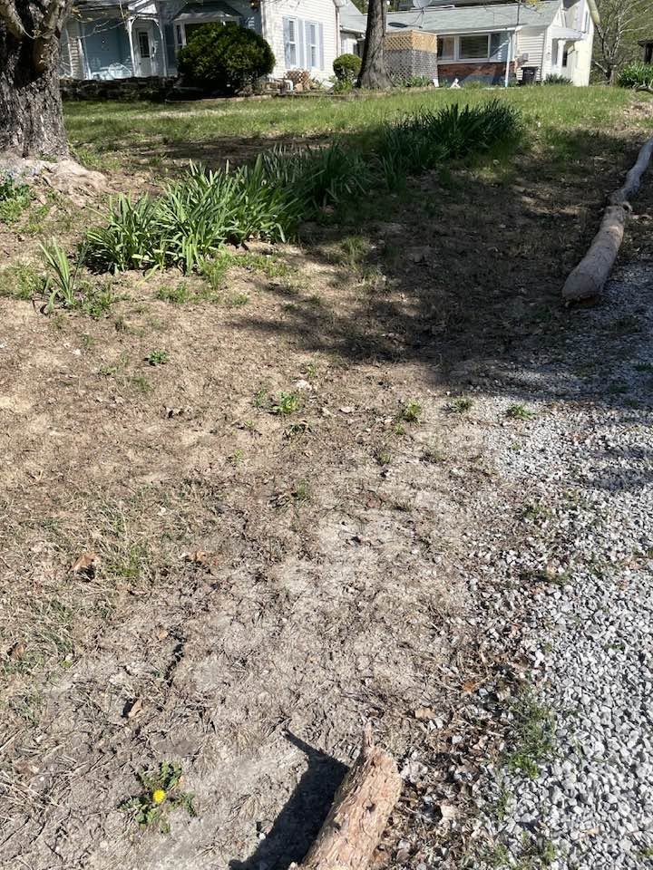 Shallow Canadian Shield soil visible under lawn on a Sudbury Ontario residential property