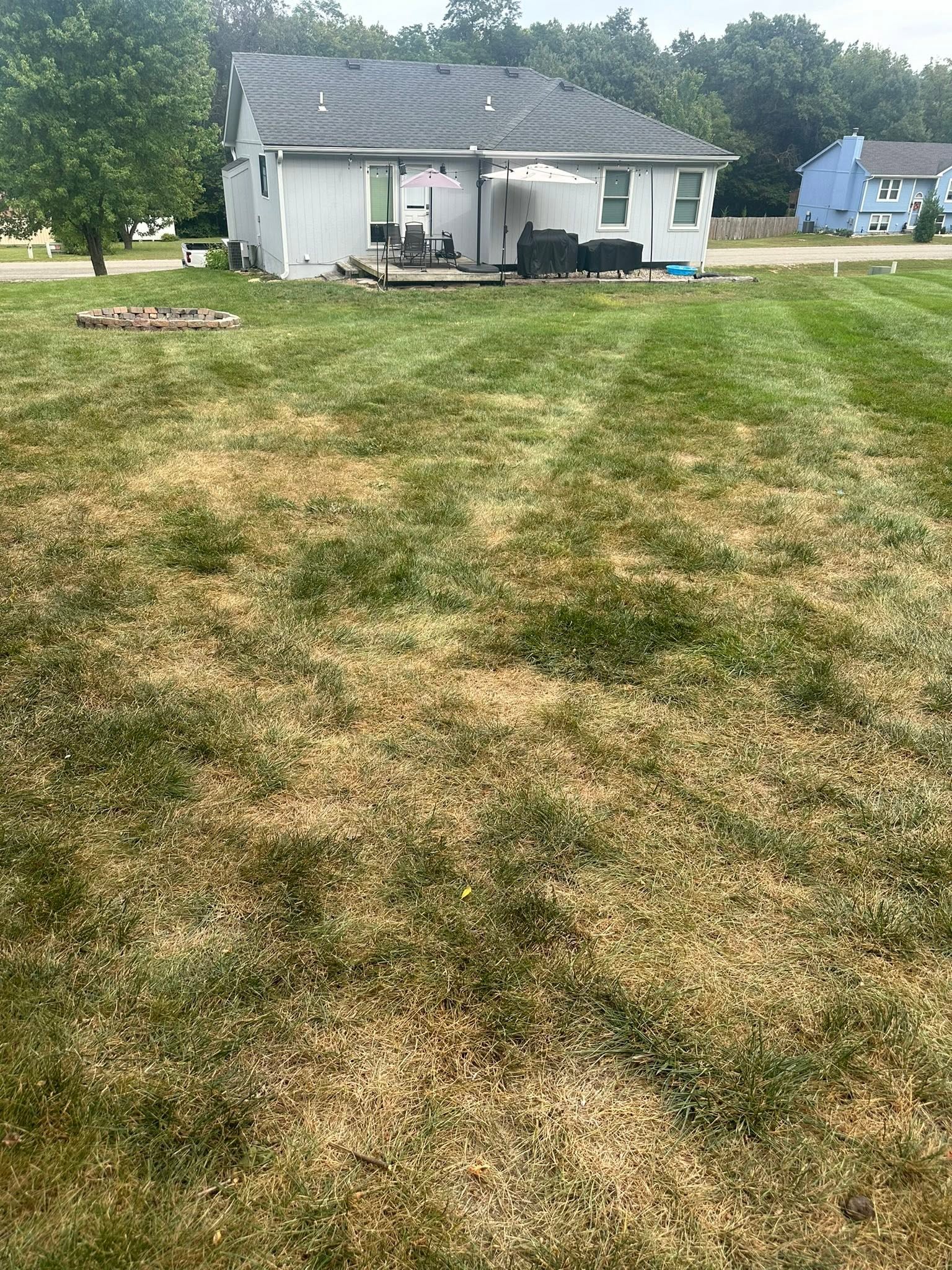 Shallow watered Sudbury lawn struggling during dry summer stretch