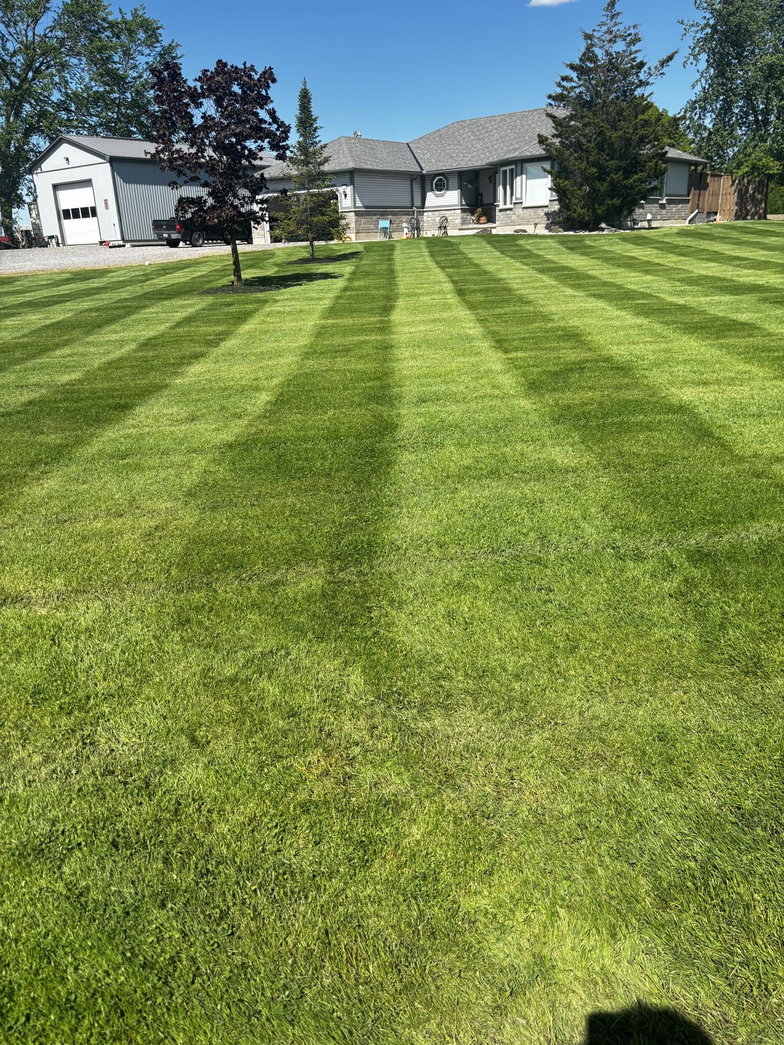 Simple well maintained residential lawn in Sudbury Ontario showing results of consistent basic care