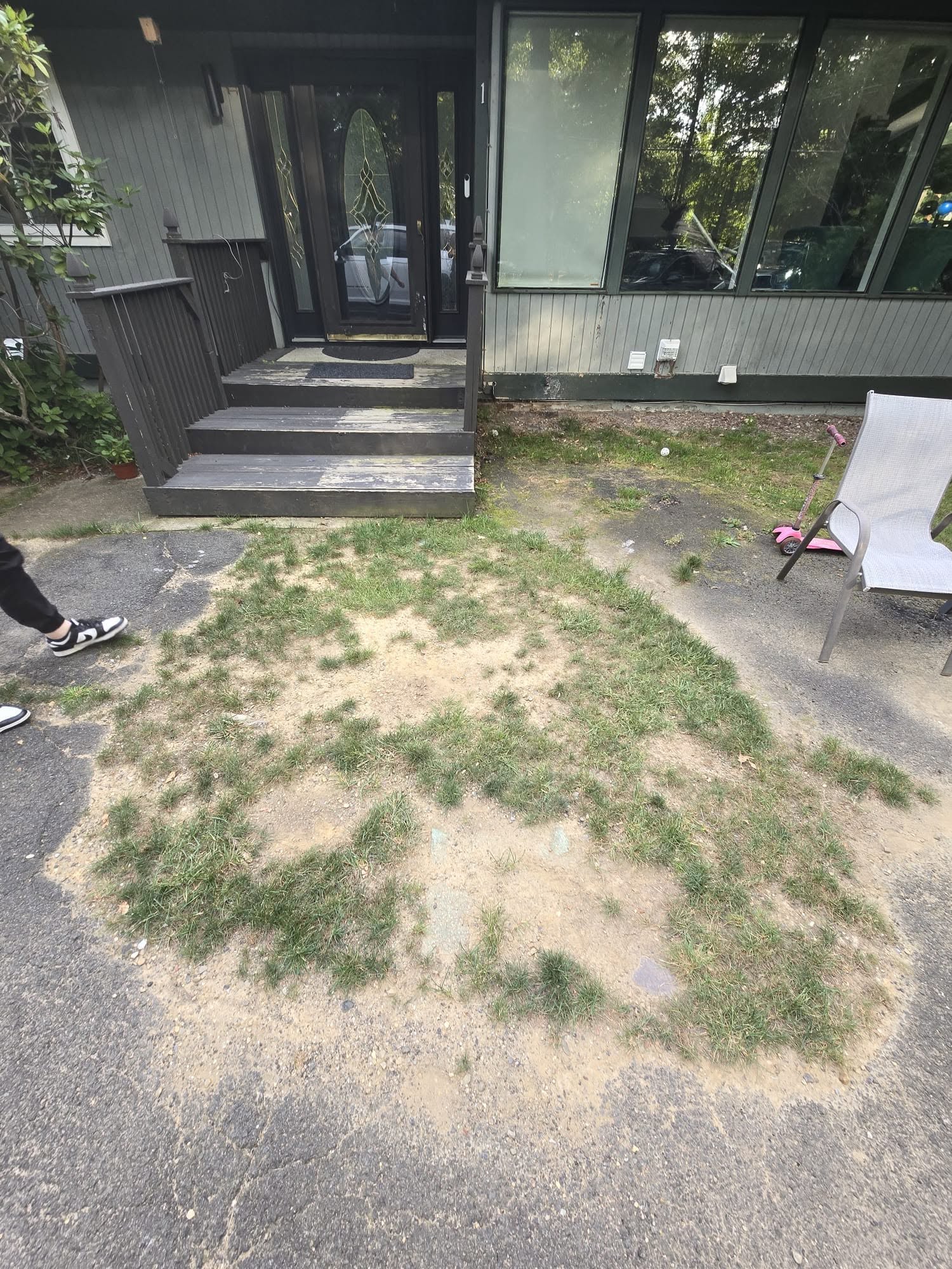 Small sod patch installed level with surrounding lawn in Sudbury