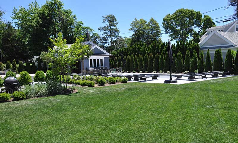 Sod and grass seed combined on the same residential lawn in Greater Sudbury Ontario