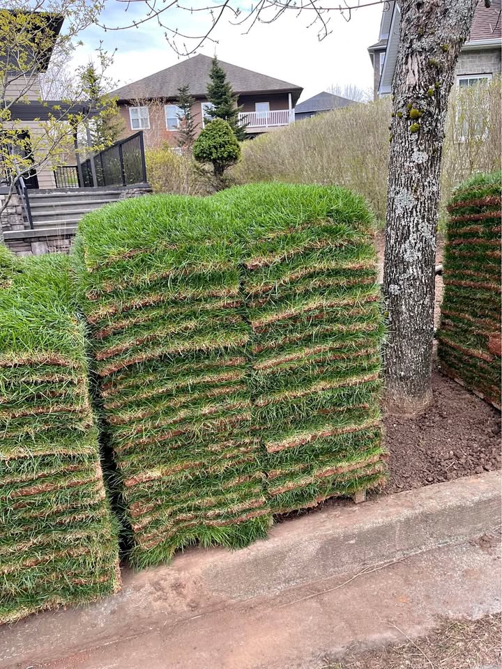 Sod delivery coordination and timing on Sudbury installation day