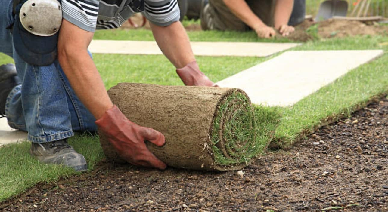 Sod installation cost breakdown per square foot Greater Sudbury Ontario residential