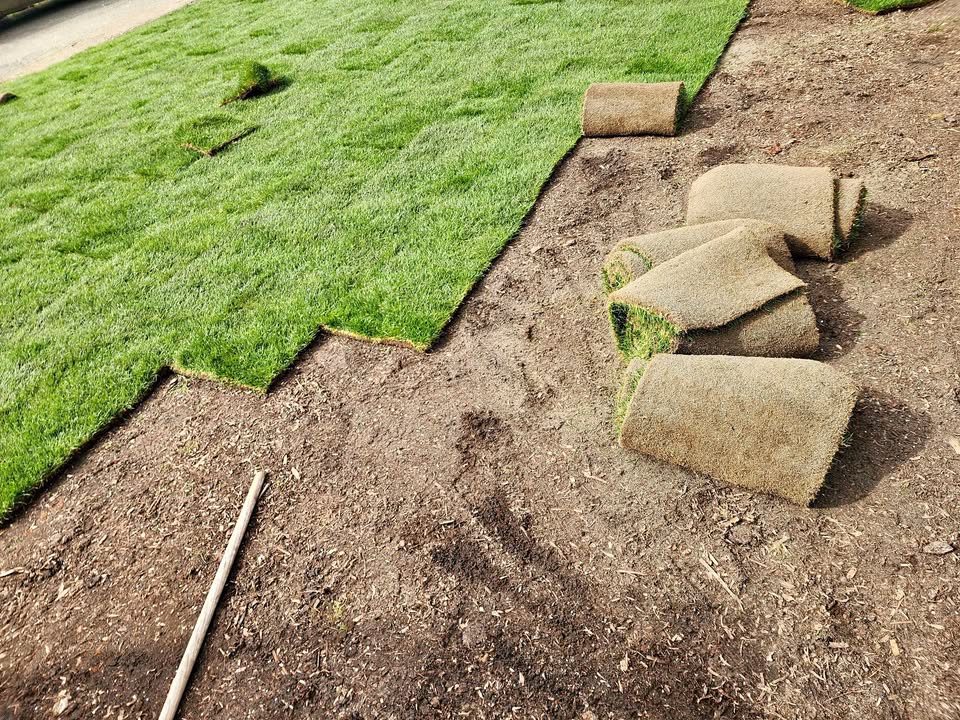 Sod rolls being laid in staggered pattern on Sudbury lawn