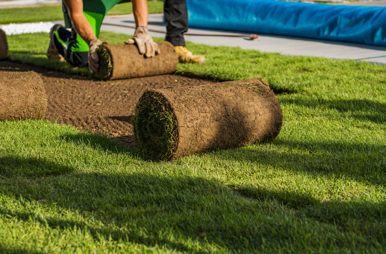 Sod transition line matching grade with existing lawn in Sudbury