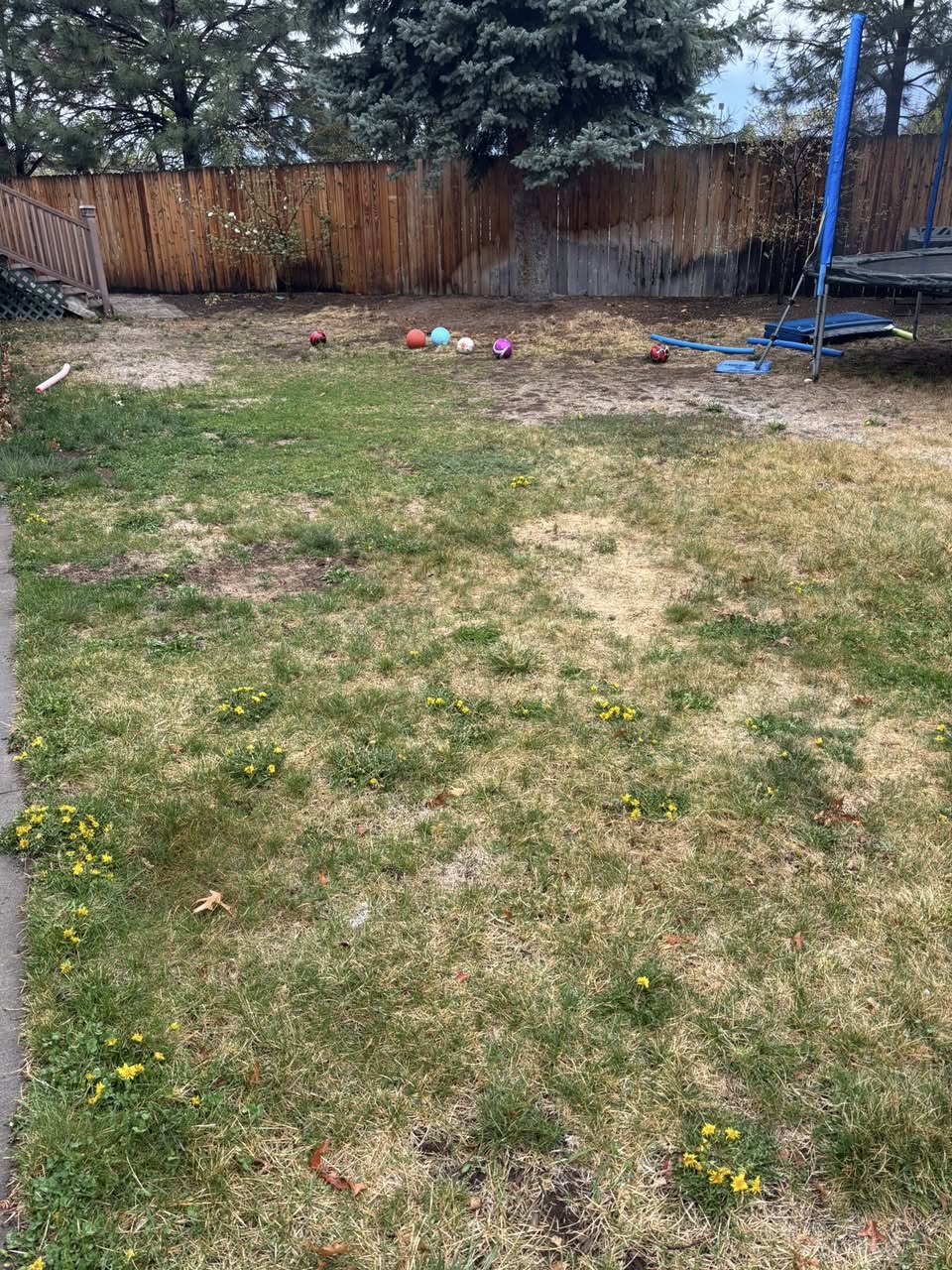 Soil compaction comparison front vs back yard on same Sudbury property