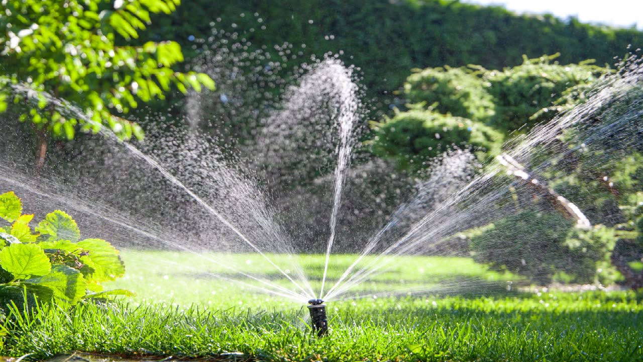 Sprinkler coverage gap causing dry patch on a Sudbury lawn