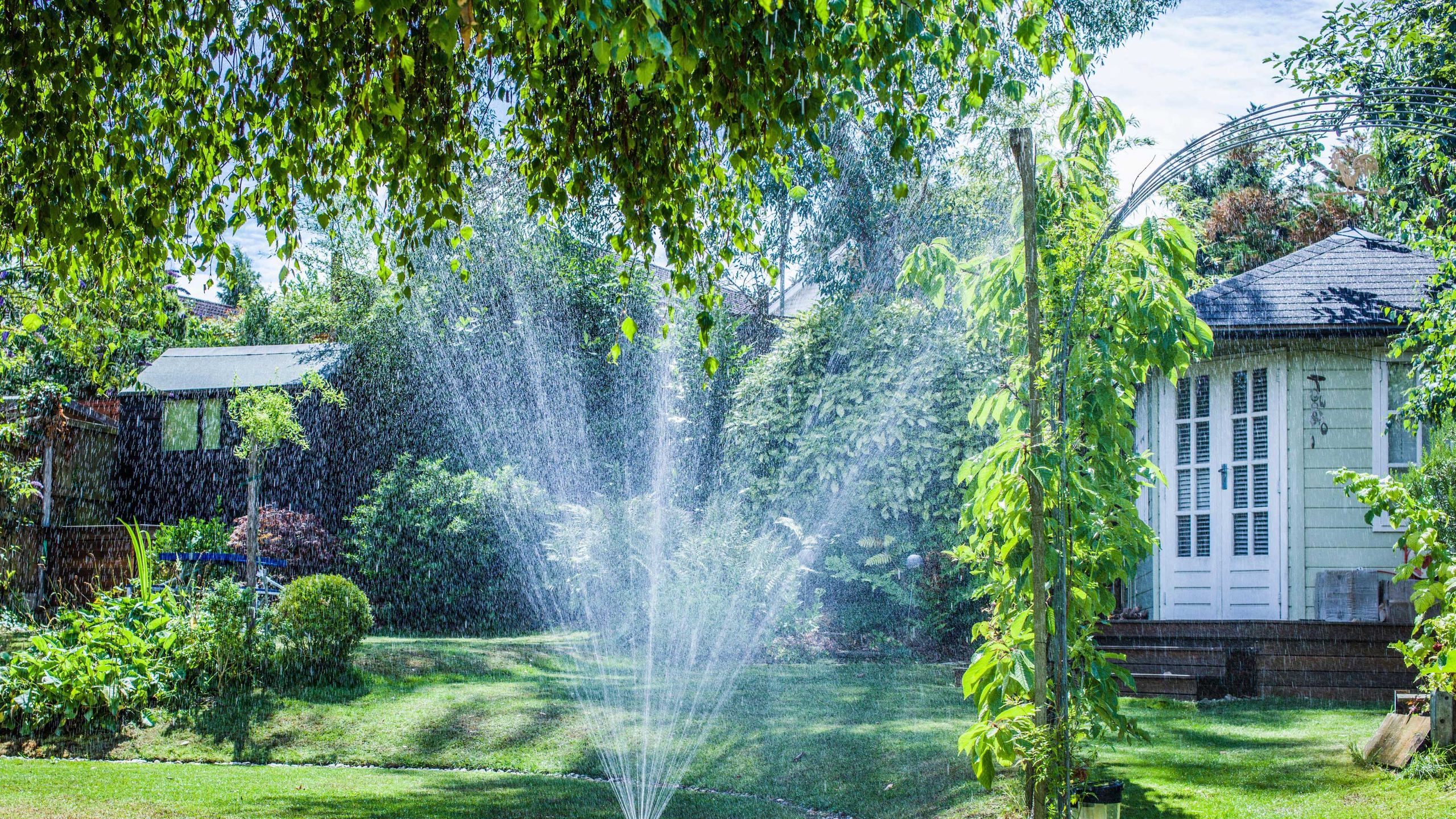 Sprinkler deep watering a healthy Sudbury lawn in summer