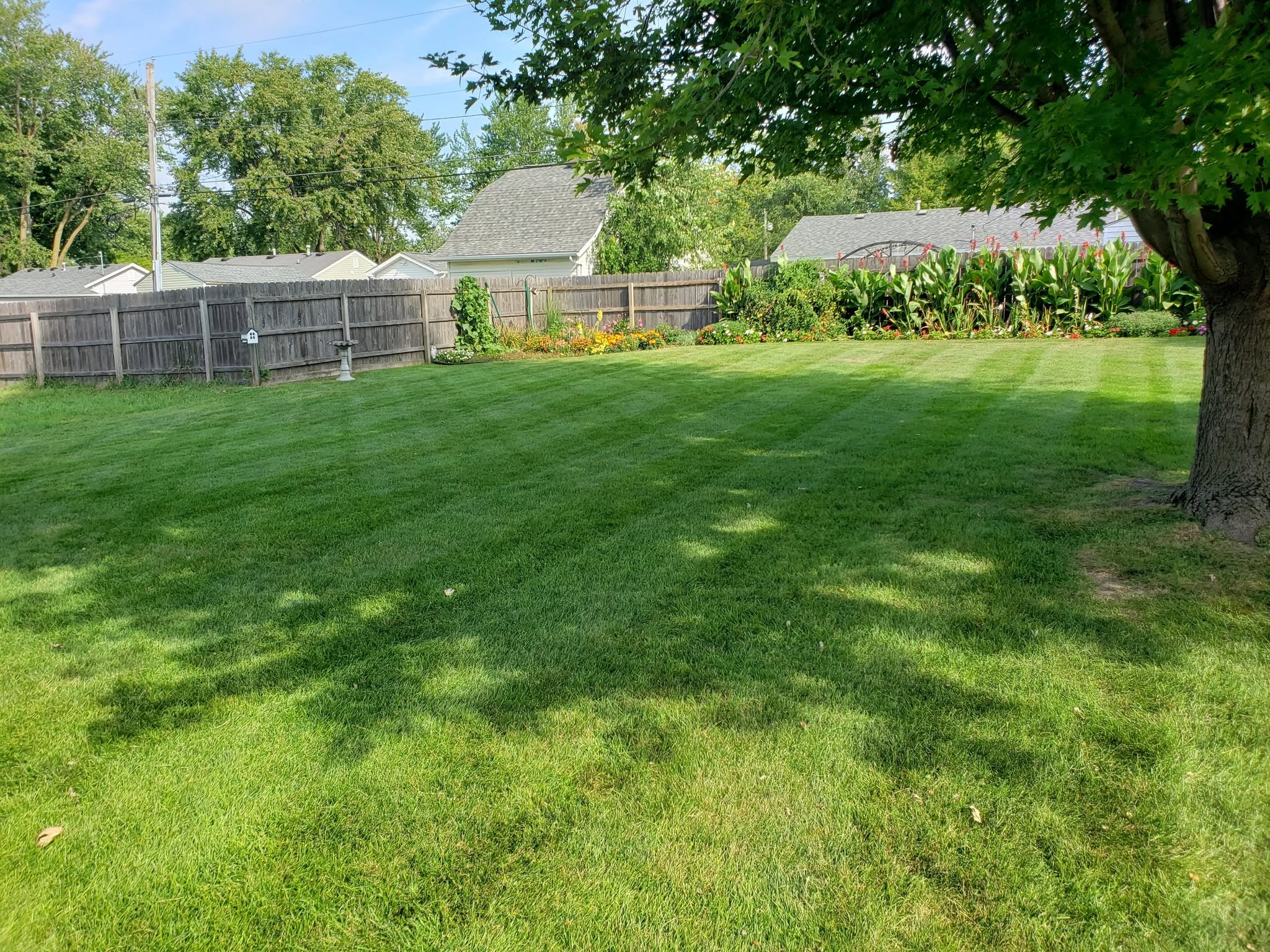 Standard Sudbury lawn maintenance routine applies near lake properties