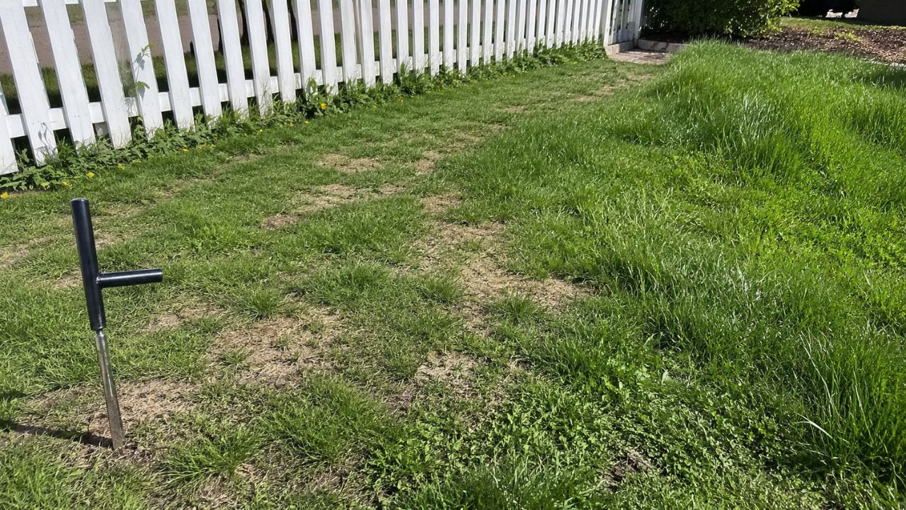 Struggling lawn with persistent bare patches on a Garson Ontario residential property