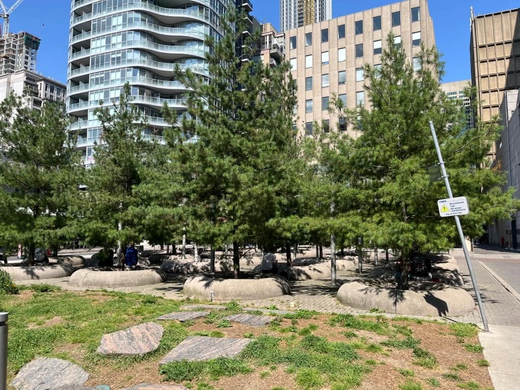 Sudbury Ontario Canadian Shield bedrock close to surface causing thin topsoil and unique lawn challenges