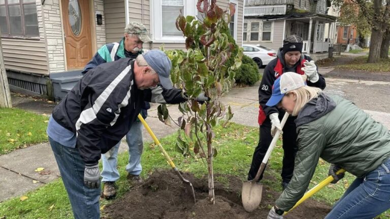 The One Question Every Sudbury Homeowner Should Ask Before Planting a New Tree