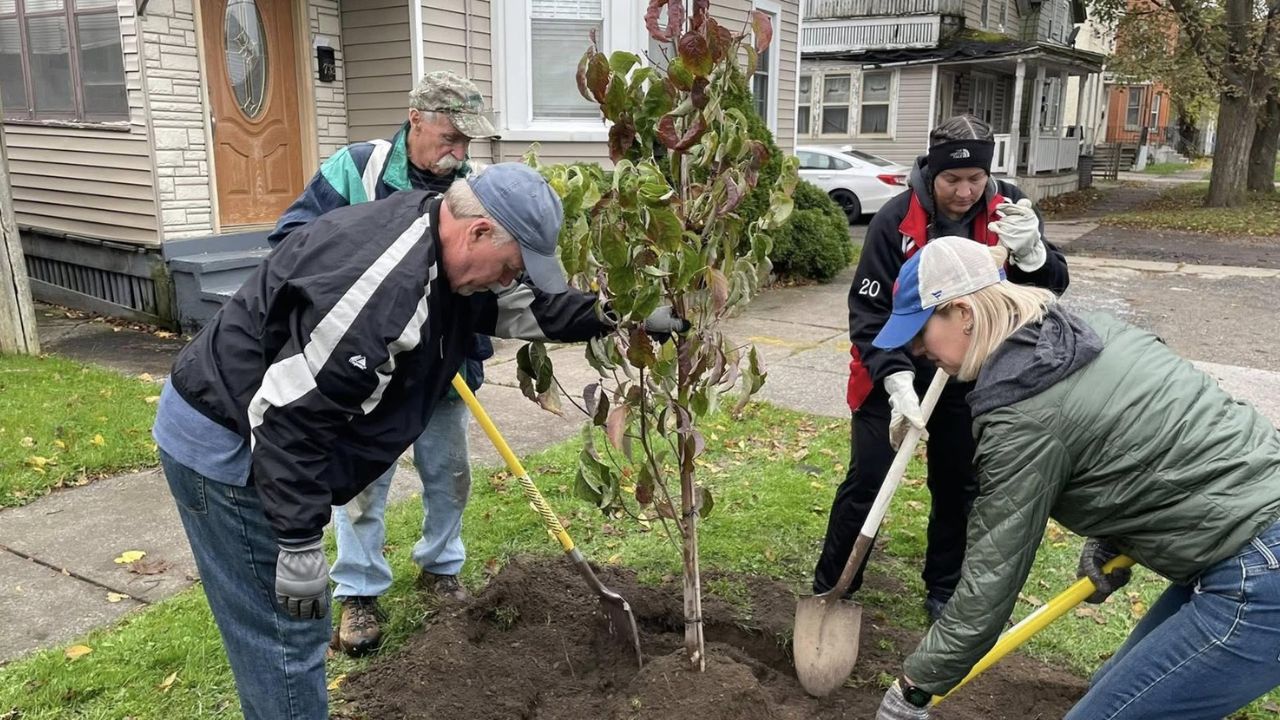 Sudbury Ontario homeowner planning where to plant a new tree considering lawn impact