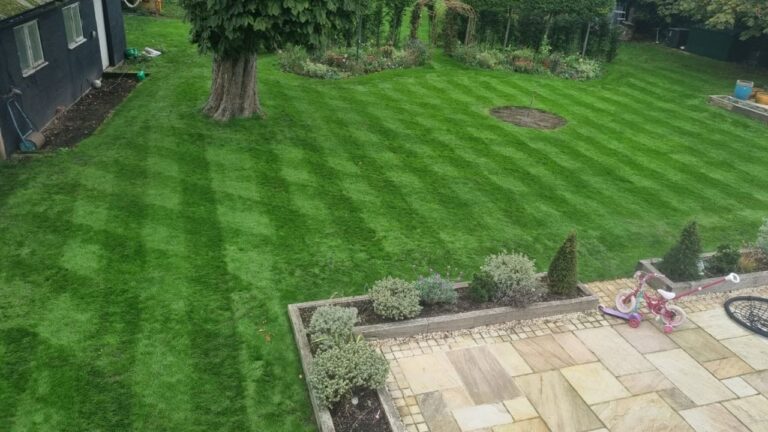 A Sudbury Customer Hired Me Because She Saw How I Treated the Last Property