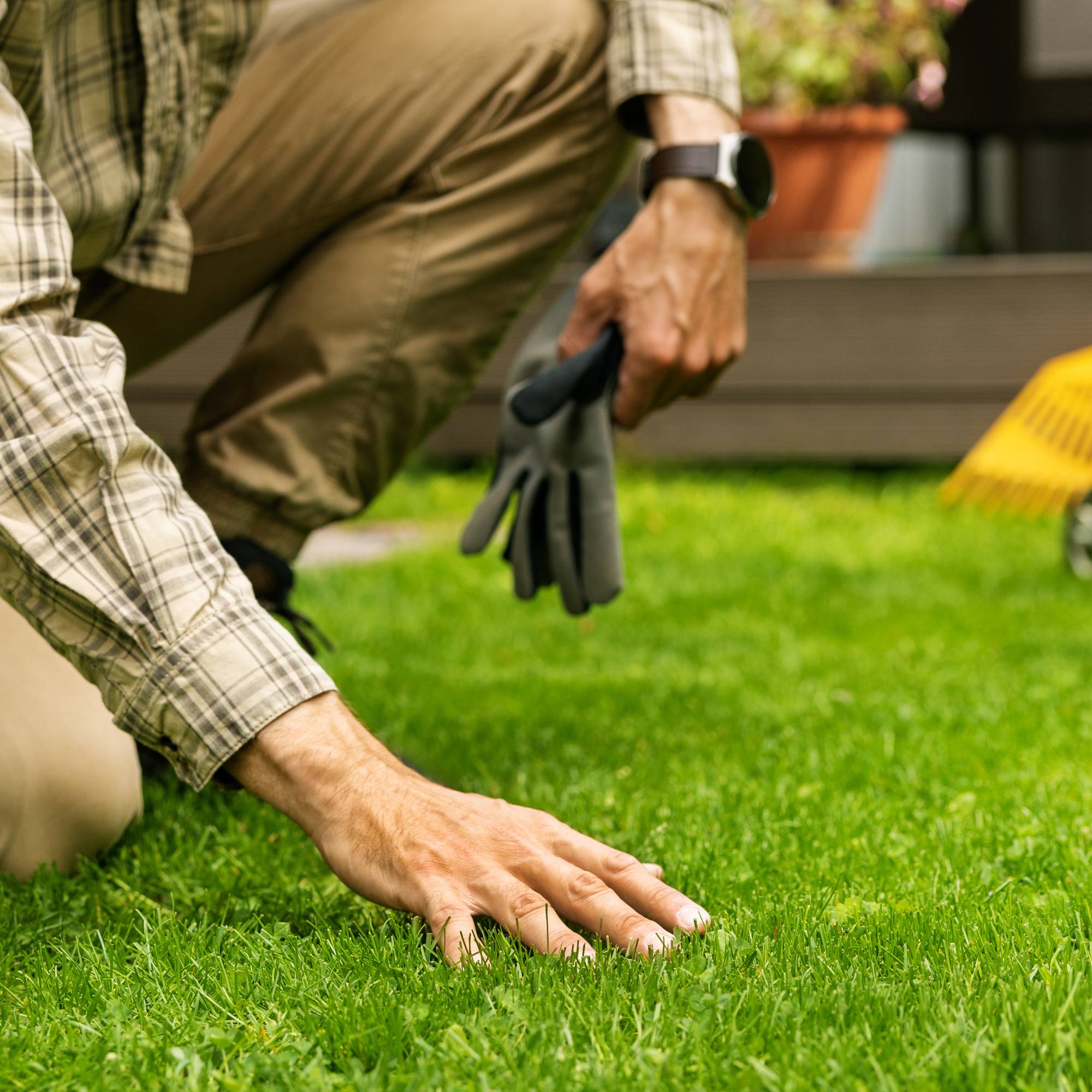 Sudbury Ontario lawn repair with overseeding and sod after hailstorm damage that did not recover