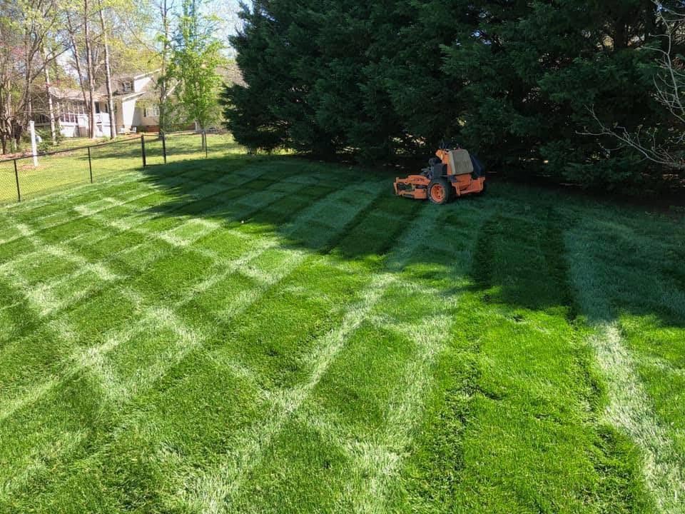 Sudbury Ontario lawn showing results after new homeowner completed 90 day lawn care improvement plan
